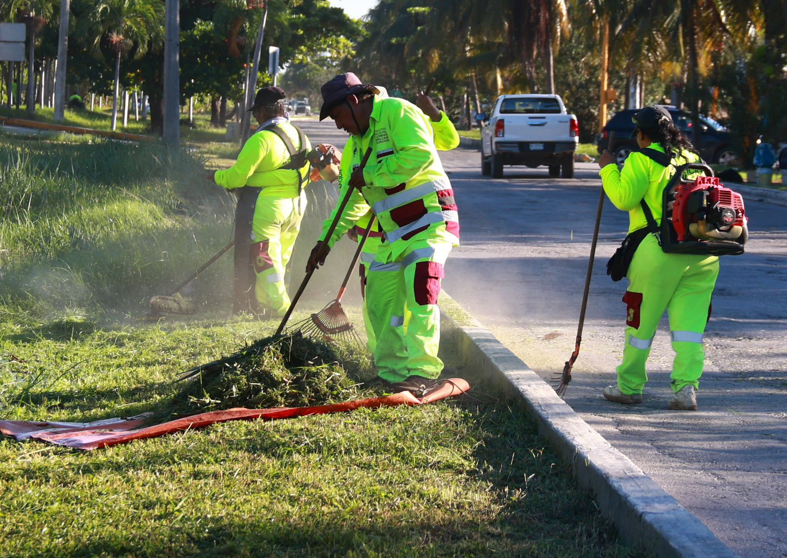 uploads/6/32/01 (2410).Jpeg